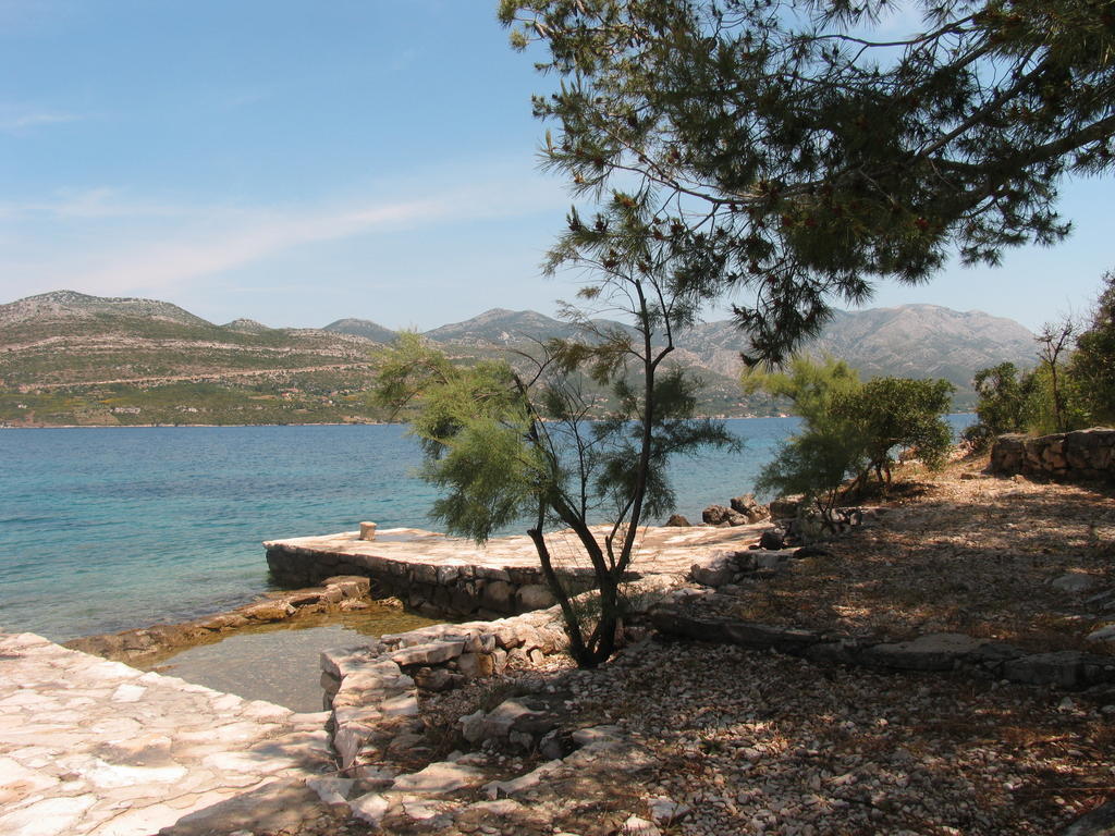 Maslina