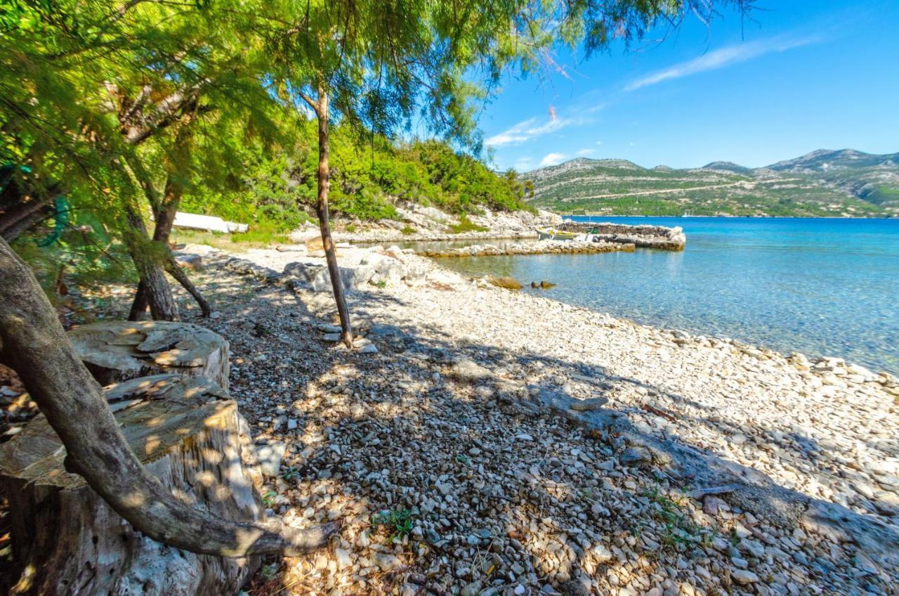 Apartment Maslina Korcula Town